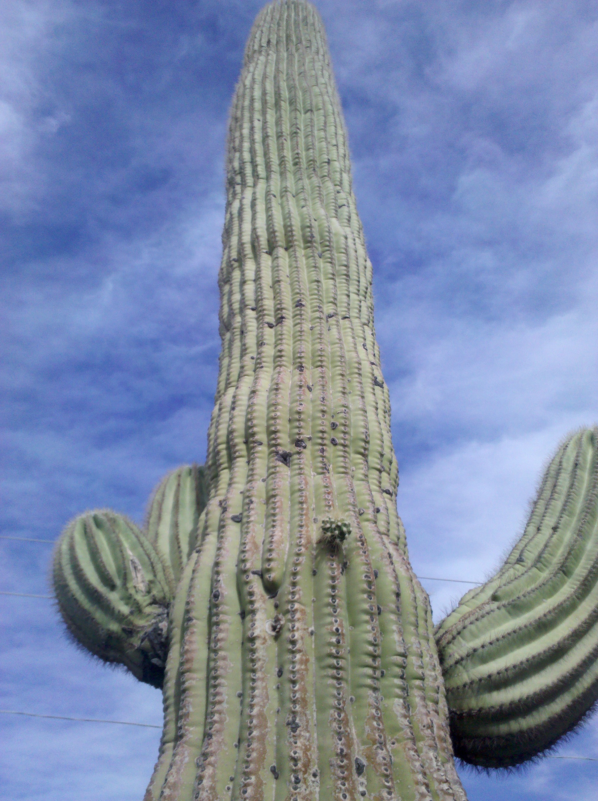 Tremendous Tailwinds from Blythe, CA to Salome, AZ The Brothers’ Bike
