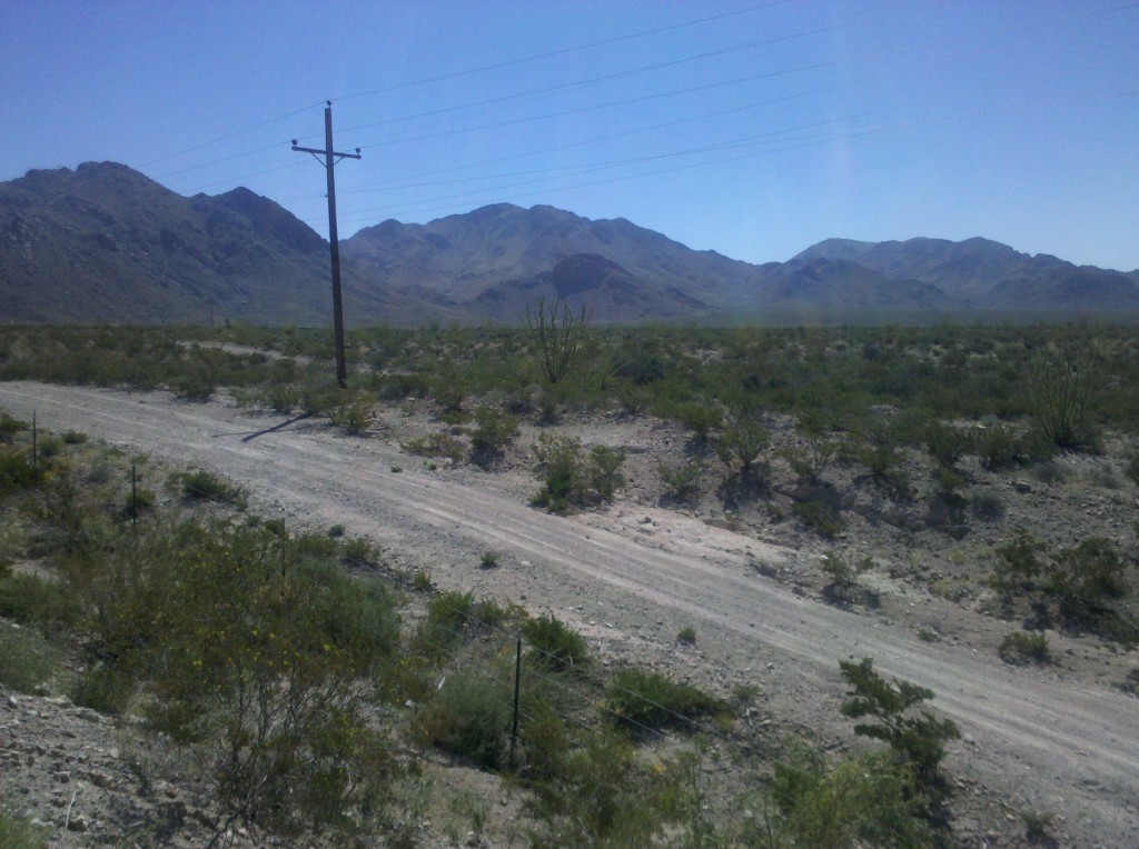 Cacti and mountains at mile marker 95 on I-10.