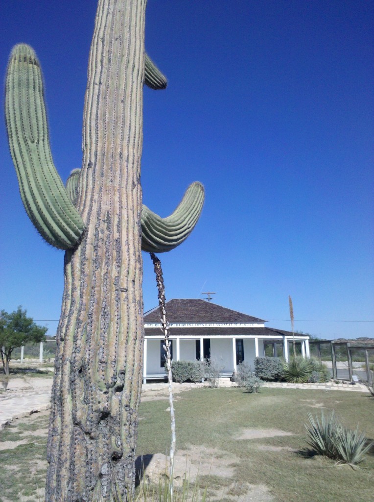 Saguaro cactus in Judge Roy Bean Visitor Center, Langtry, TX.  The only saguaro cactus we have seen on Leg 3 have been at Langtry.