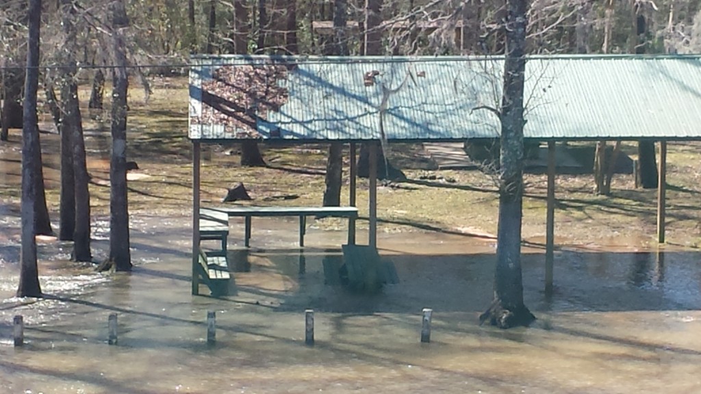 Picnic area underwater at the Choctawhatchee River on US 90.